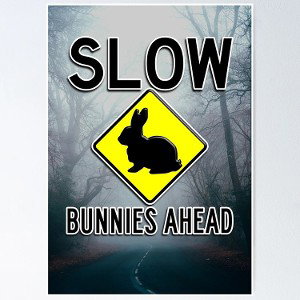 slow bunny