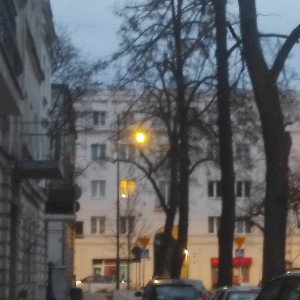 w tej lidze 