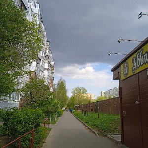 Нам подарили случай, синие небеса