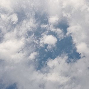 Палунин-one of the roinen 