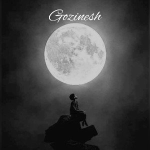 "Gozinesh"