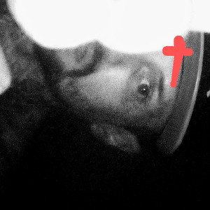 No Love