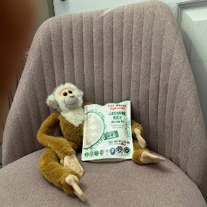 monkey nice with lice