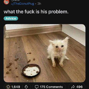 æææ