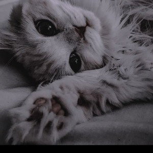 костя