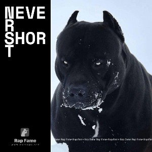 never Short