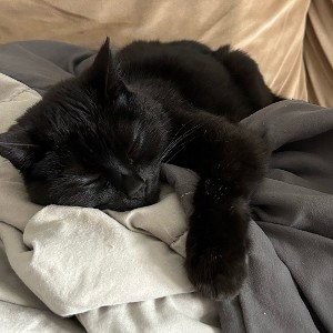 Life is hard