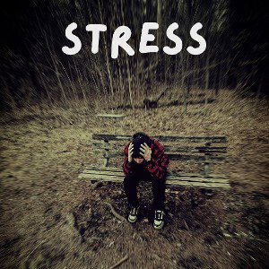 stress ft.WS
