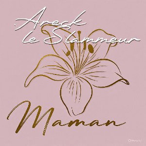ARECK LE SLAMMEUR - MAMAN BY A.K MUSIC PRODUCTION MP3