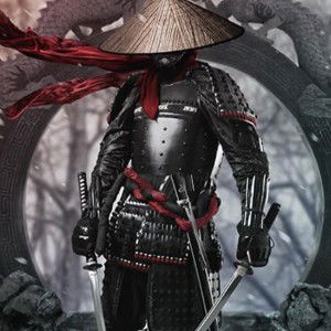 Revenge of the Ronin