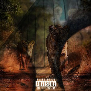 Lion X AceDaDon 