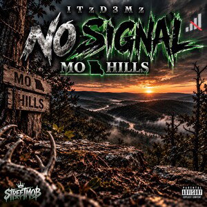 ⛰️No signal⛰️ ITzD3Mz