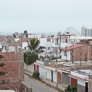 Las Libretas - Raíces  