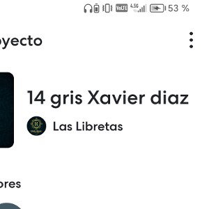 Las Libretas - 14 gris Xavier diaz  2024-12-14 21_28