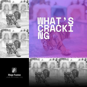 what’s cracking 