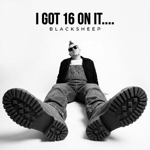 I GOT 16 ON IT.....