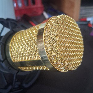 PIMPIN THE M.I.C...
