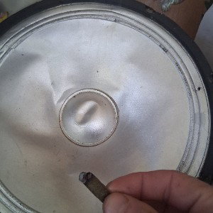 sPeAKeR rOAcH...