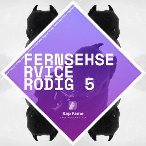 Fernsehservice Rodig 5