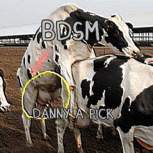 تجاوز به مرده‌. BDSM  