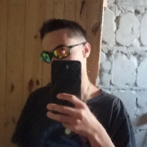 vida de revoada e de cachorrada
