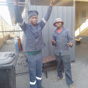 pain_Zacks&roady_Decozyrdk