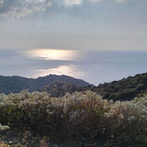 la pedriaia 