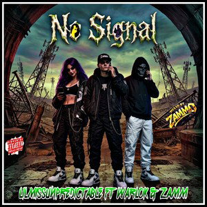 No Signal