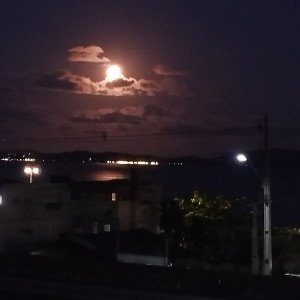 Nova versão