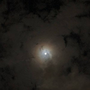 Лебединая песня