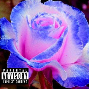Blooming