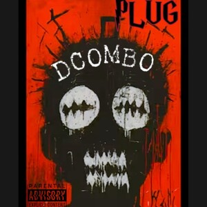 Plug