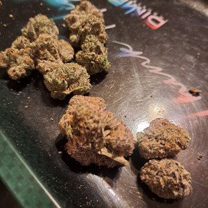 loud pack vibez