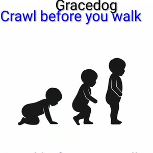 Crawl before you walk 