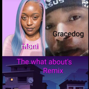 The what about's (remix)