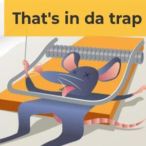 Rat's in da trap 