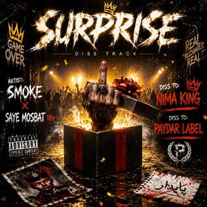 SURPRISE(دیس به لیبل پایدار و نیما کیر)
