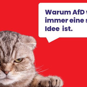 AfD Disstrack  (ft:abonnit)