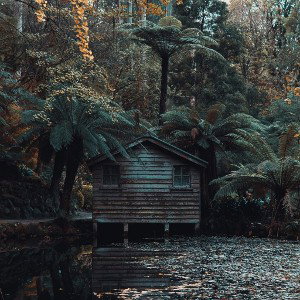 (Free for profit beat)-Tissue