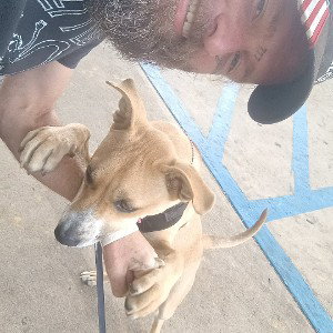 fuck crooked cops