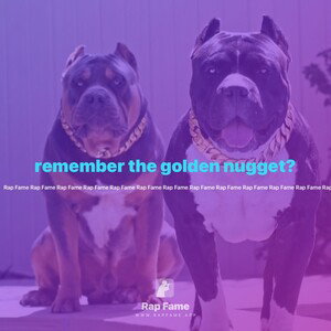 remember the golden nugget?