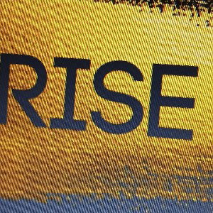 Rise  💸