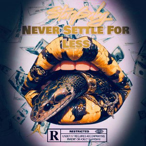 NeverSettleForLess