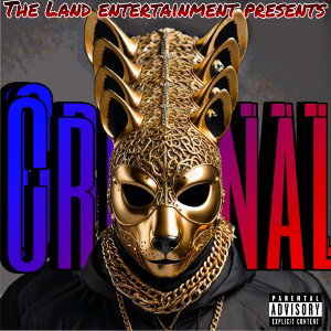   criminal