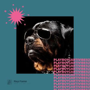 playboy carti vibes 2
