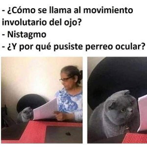linea 13 🫡