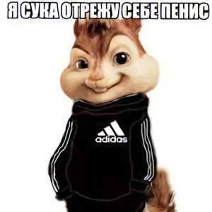 цветы (мс калитка )Кавказ триклауди