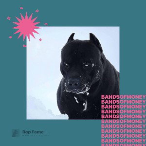 bands of money