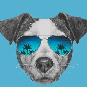 THE_DOGS_DONT_KNOW_by_NotJustJack_