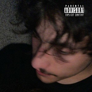trust freestyle 